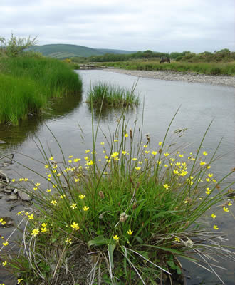 River Wye, Upper Clochfaen